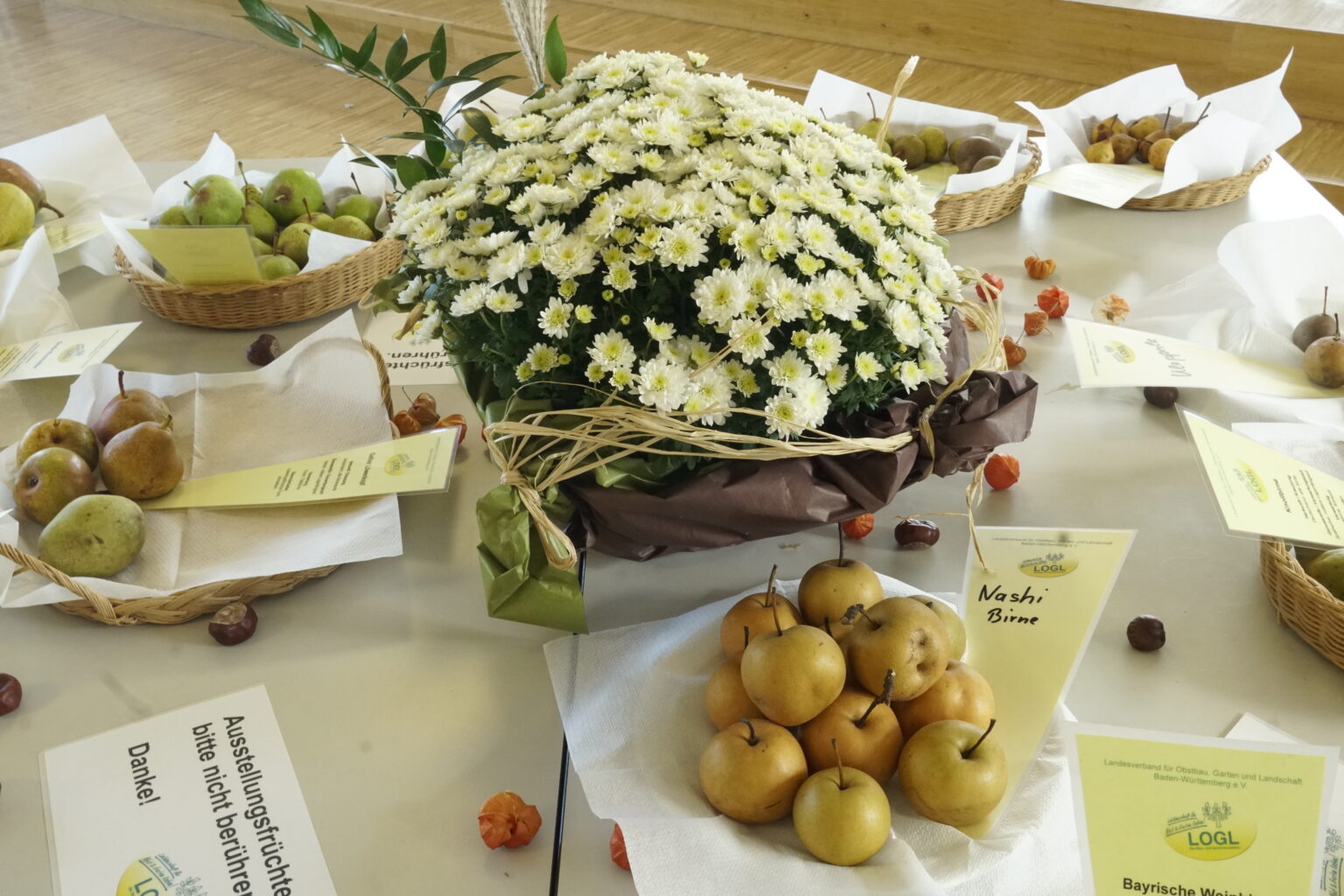 Sortenausstellung in Albershausen: Ein eindrucksvolles Fest der Obstvielfalt zum 750-jährigen Jubiläum